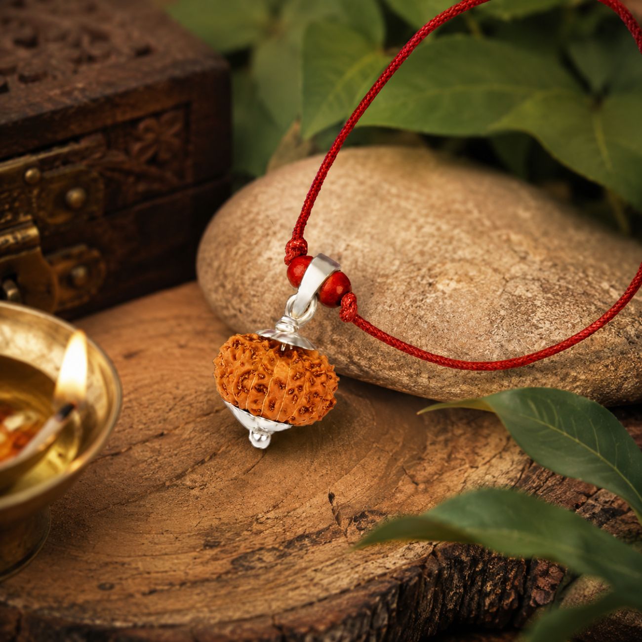 4 Mukhi Rudraksha from Java in Silver Caps | Original Four Mukhi Rudraksha Pendant