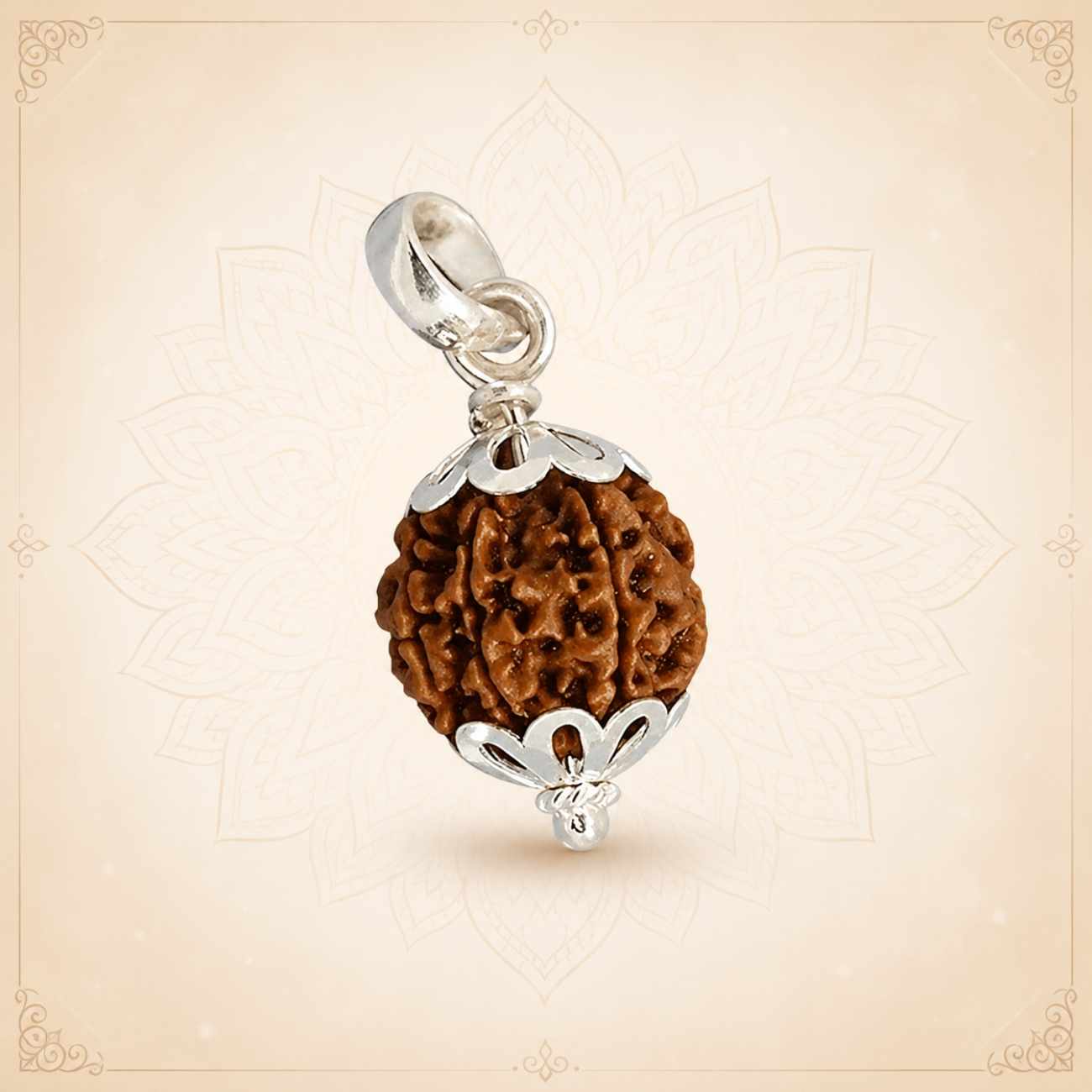 6 (Six) Mukhi Rudraksha From Nepal in Silver caps