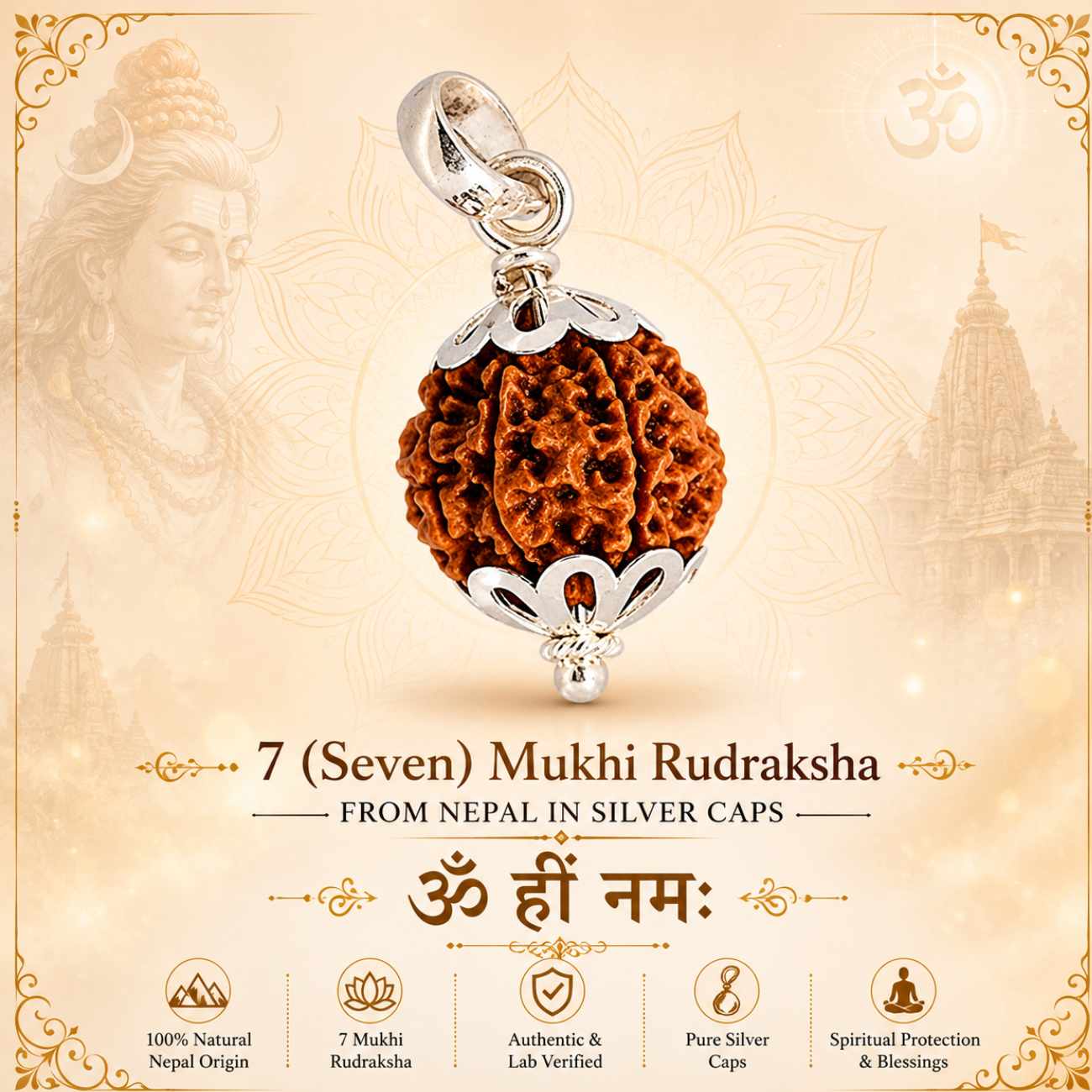 7 (Seven) Mukhi Rudraksha From Nepal in Silver caps