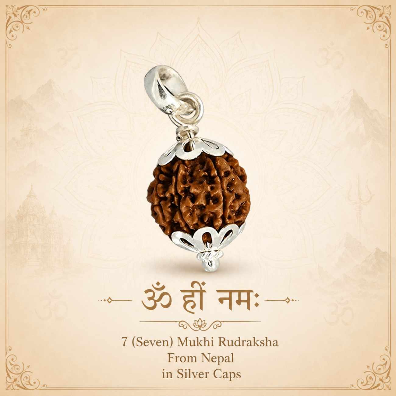7 (Seven) Mukhi Rudraksha From Nepal in Silver caps