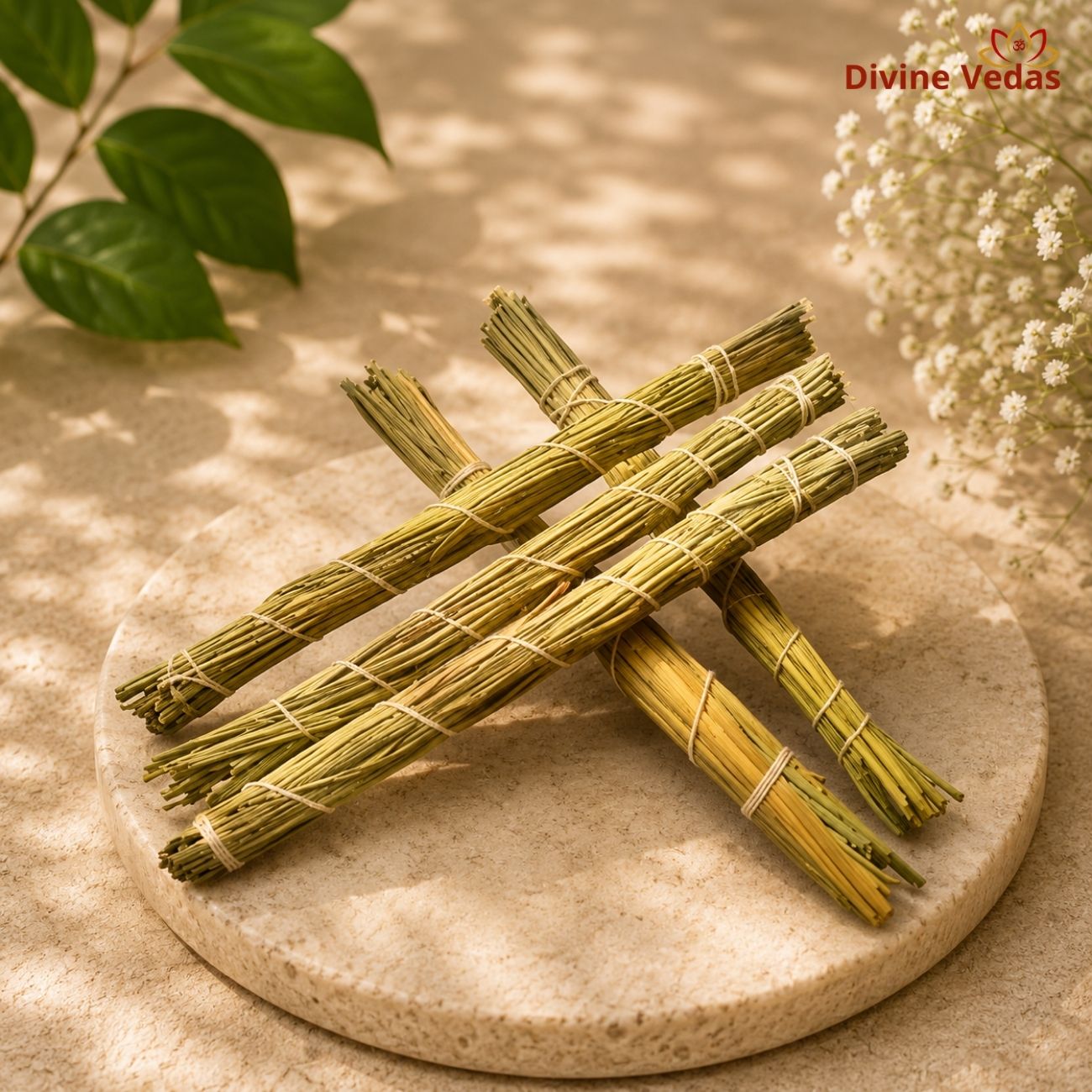 Darbha Grass for Pooja – Set of 5
