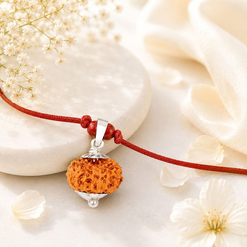 10 Mukhi Rudraksha from Java in Silver Caps | Original Ten Mukhi Rudraksha Pendant