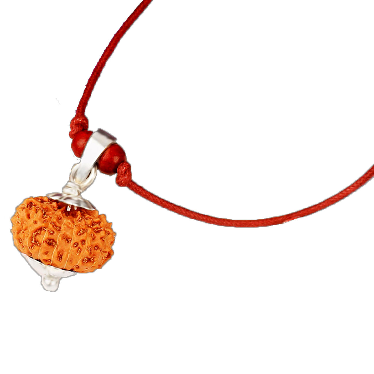 10 Mukhi Rudraksha From Java in Silver caps