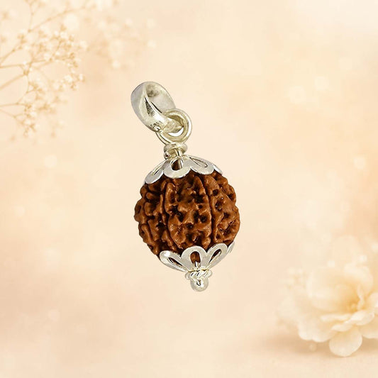11 Mukhi Rudraksha from Nepal in Silver Caps | Original Eleven Mukhi Rudraksha Pendant