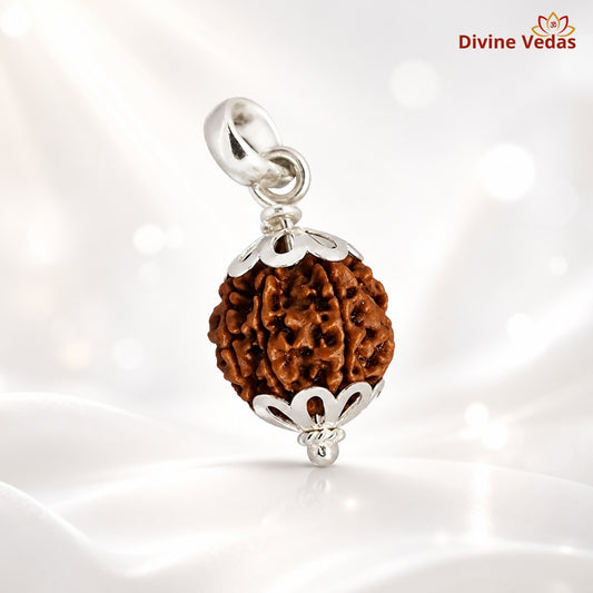 2 (Two) Mukhi Rudraksha From Nepal in Silver caps