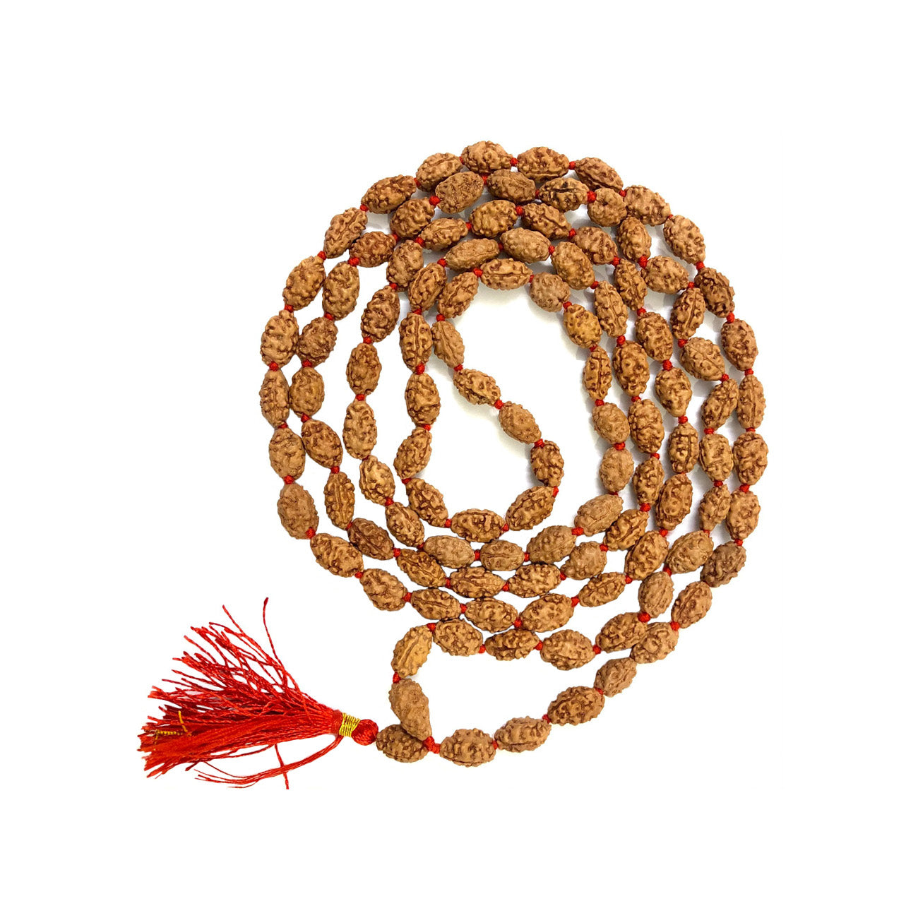 Original 2 Mukhi Rudraksha Mala | Authentic 2 Mukhi Rudraksha Japa Mala for Harmony & Spiritual Growth