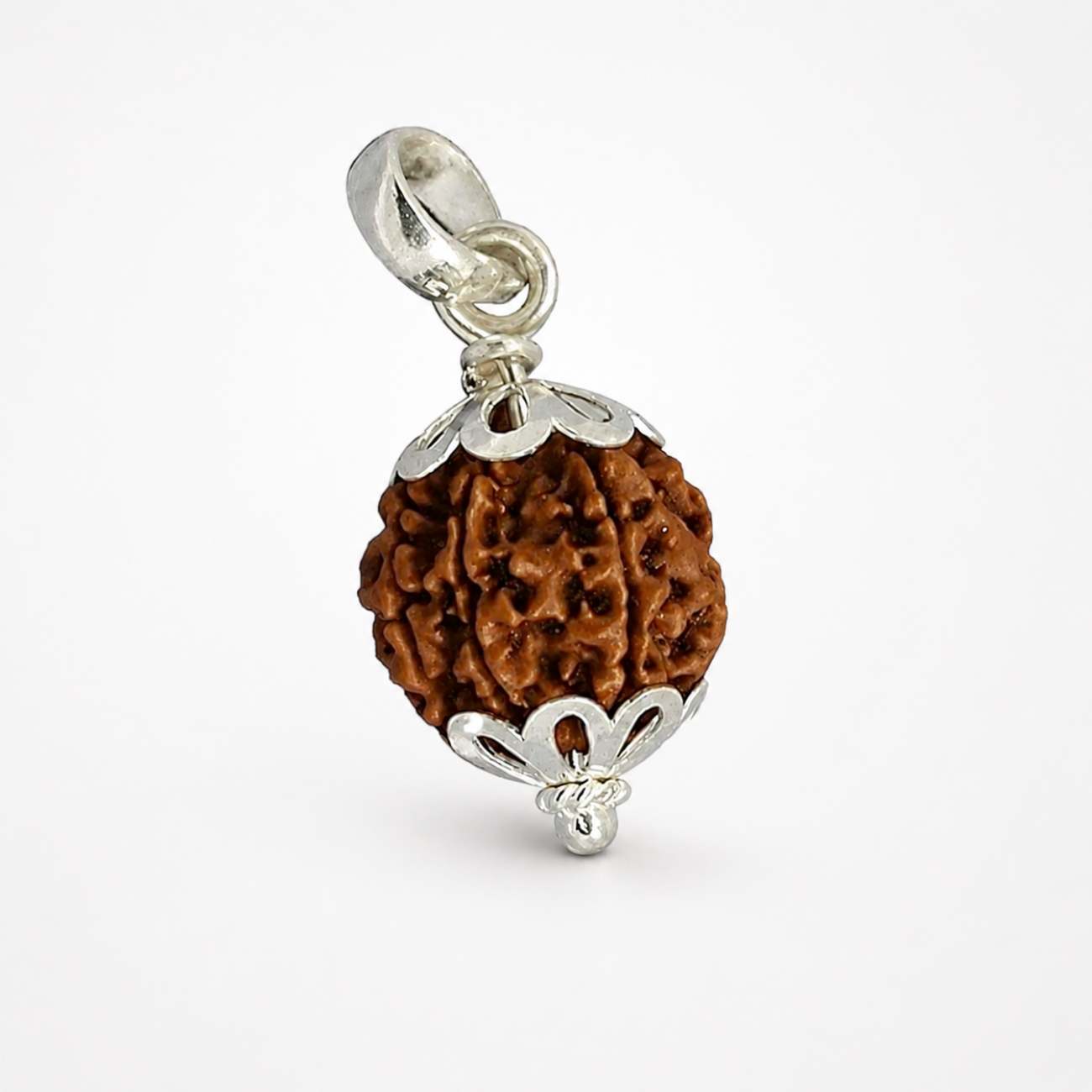 5 (Punchmukhi) Mukhi Rudraksha from Nepal in Silver caps