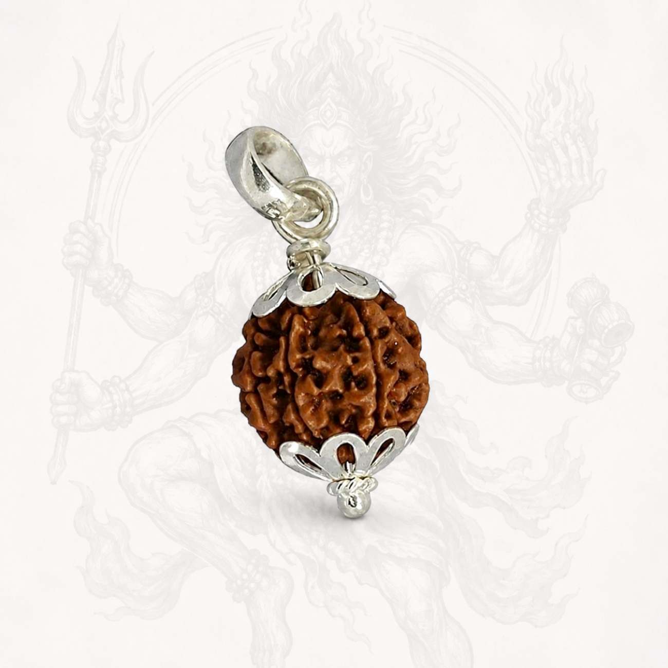 5 (Punchmukhi) Mukhi Rudraksha from Nepal in Silver caps