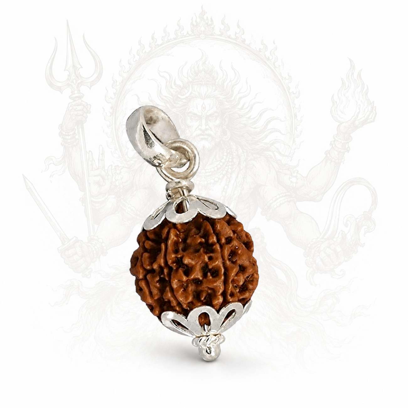 5 (Punchmukhi) Mukhi Rudraksha from Nepal in Silver caps