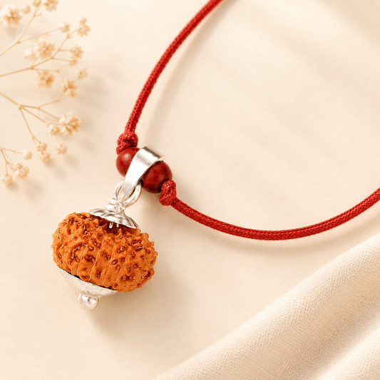 6 Mukhi Rudraksha from Java in Silver Caps | Original Six Mukhi Rudraksha Pendant