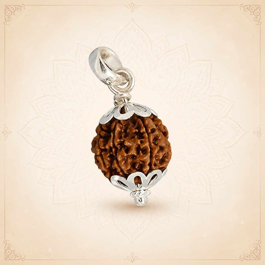6 (Six) Mukhi Rudraksha From Nepal in Silver caps