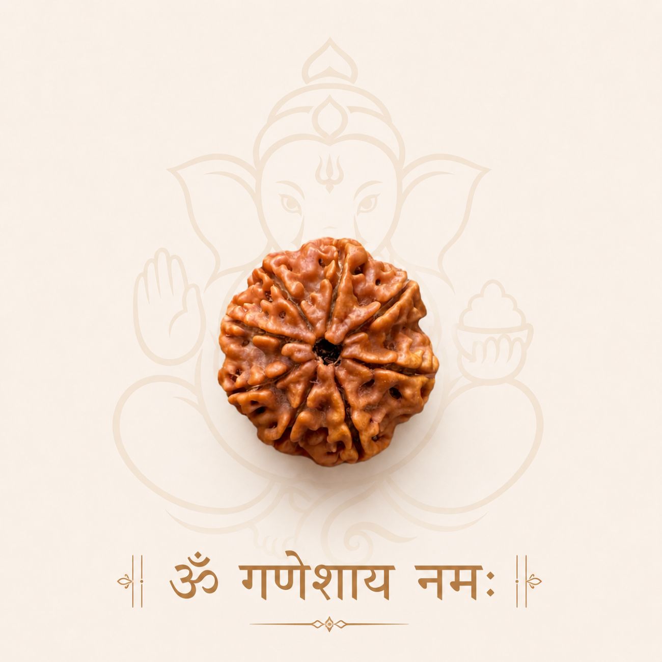 8 Mukhi Rudraksha from Nepal Loose Bead | Original Eight Mukhi Rudraksha
