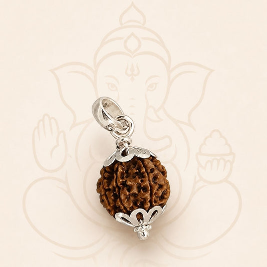 8 Mukhi Rudraksha from Nepal in Silver Caps | Original Eight Mukhi Rudraksha Pendant