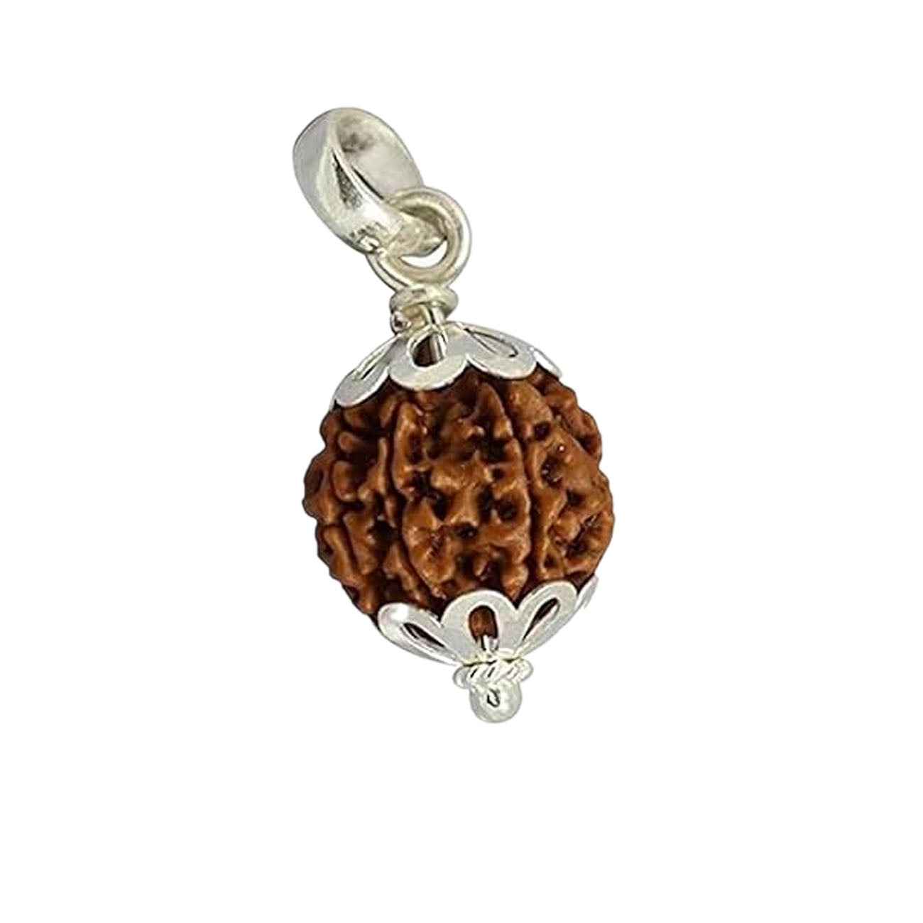 9 (Nine) Mukhi Rudraksha From Nepal in Silver caps