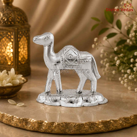 Silver Camel Statue 10.5g | Chandi Camel Figurine for Home Décor & Gifting | Divine Vedas