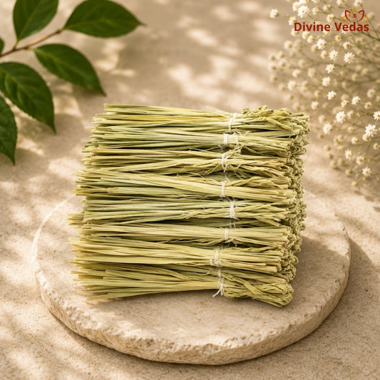 Kusha Grass for Pooja – Set of 2